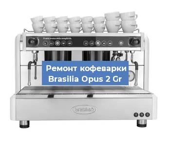Замена прокладок на кофемашине Brasilia Opus 2 Gr в Москве